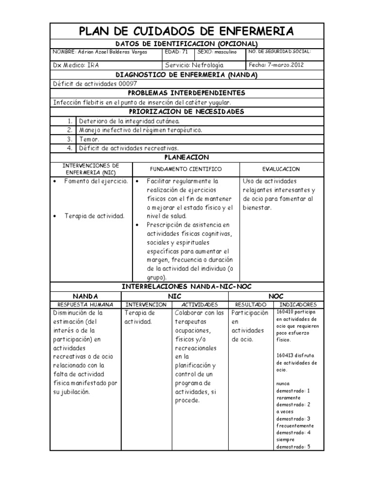 Plan de Cuidados en Insuficiencia Renal | PDF | Hemodiálisis | Diálisis