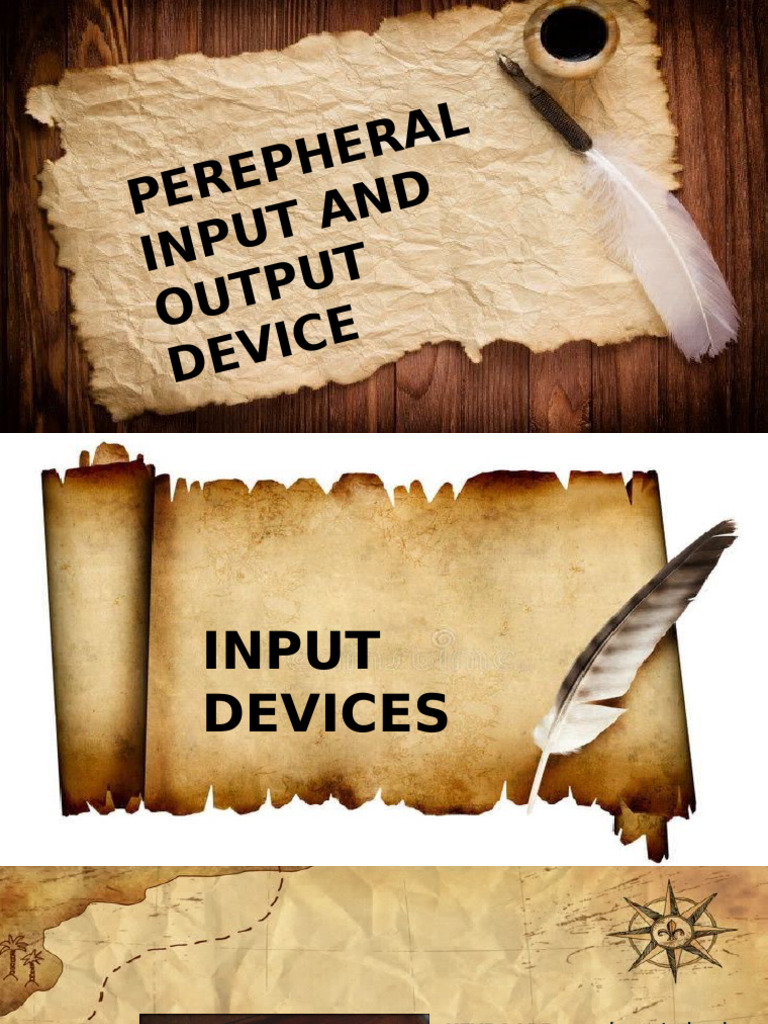 Essential Input and Output Devices | PDF