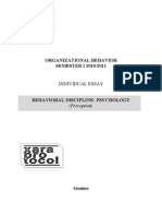 Organizational Behavior SEMESTER I 2010/2011: Individual Essay