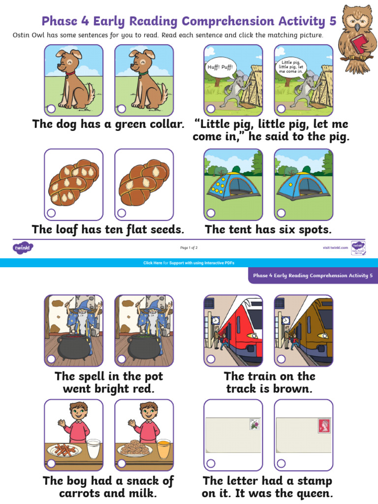 Phase 4 Reading Comprehension Activity | PDF