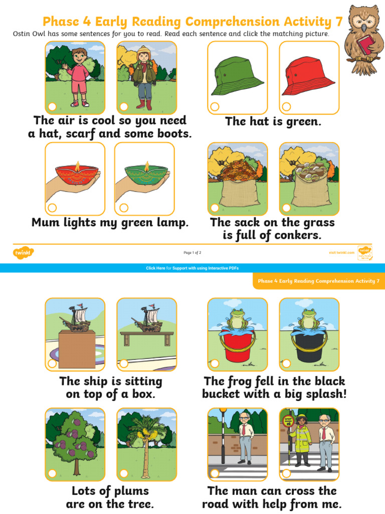 Phase 4 Reading Comprehension Activity | PDF