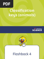 Zebra Taxonomy and Classification | PDF | Zebra | Equus (Genus)