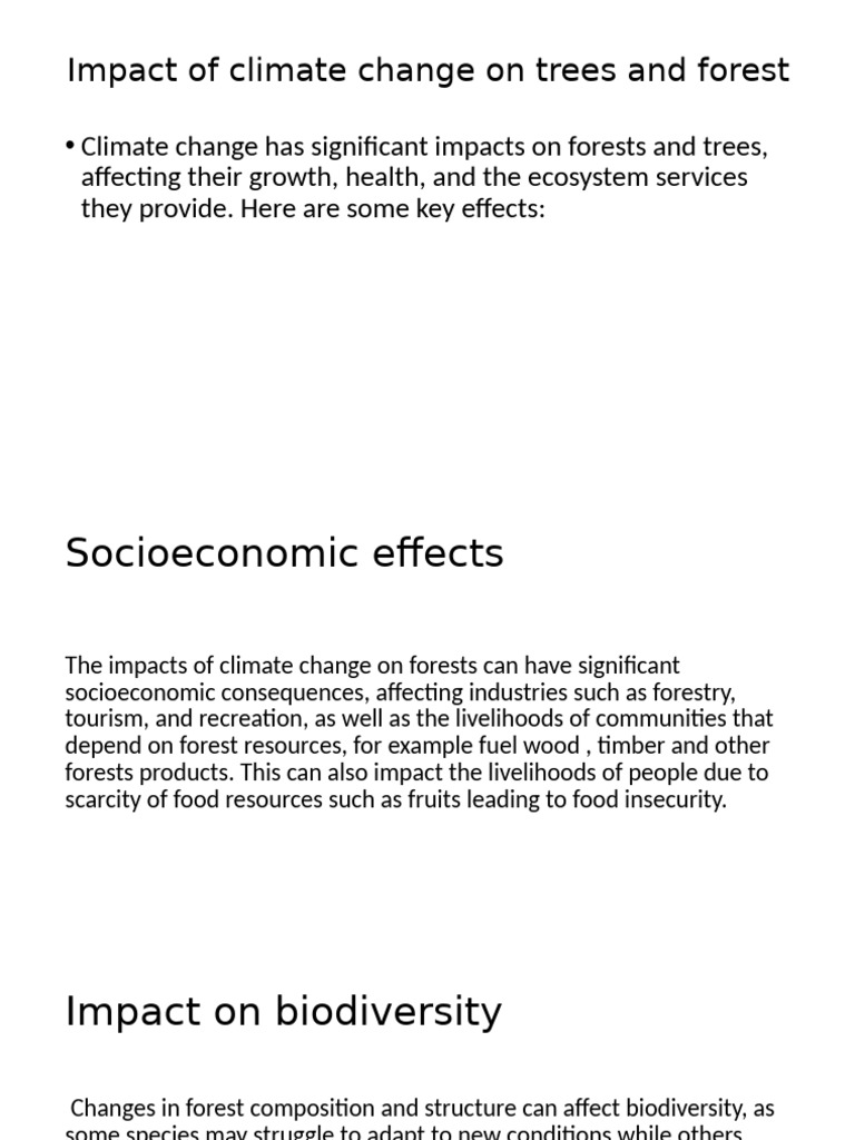 Climate Change Effects on Forests and Trees | PDF | Forests | Biodiversity
