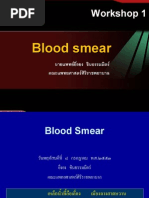 Download Blood Smear Dr-yingyong by Veerapong Vattanavanit SN90299981 doc pdf