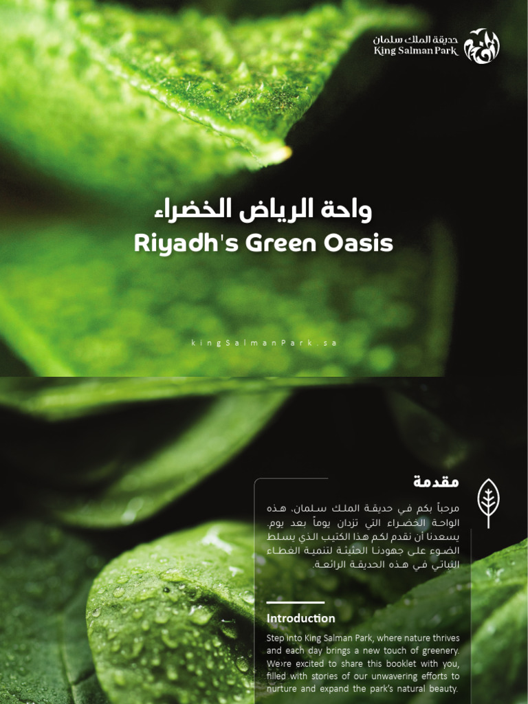 KSP Leafy Guide Brochure-V05 | PDF