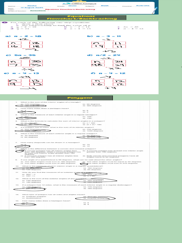Math Assessment: Equations & Flowcharts | PDF