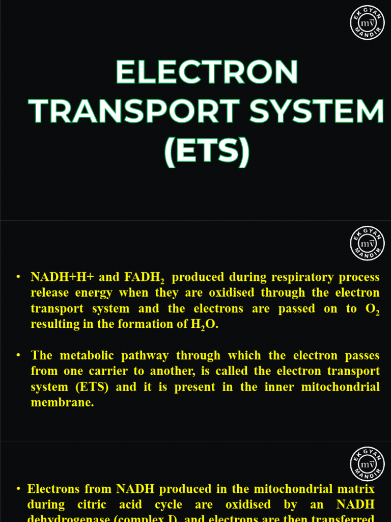 Electron Transport System Overview | PDF | Electron Transport Chain ...