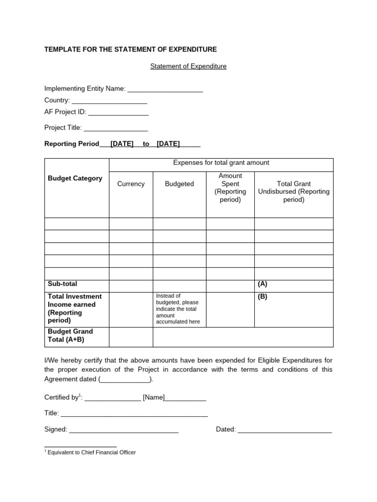 Statement of Expenditure Template for SSC TA ESGP TA GP Project Scale ...