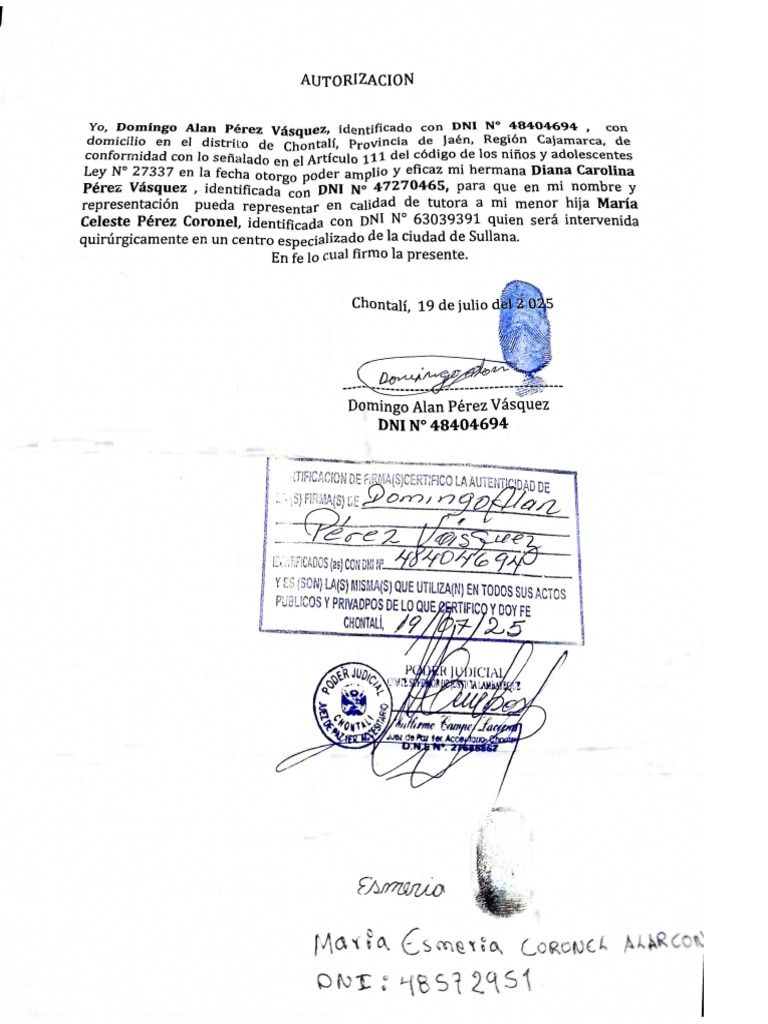 Documento 21 | PDF