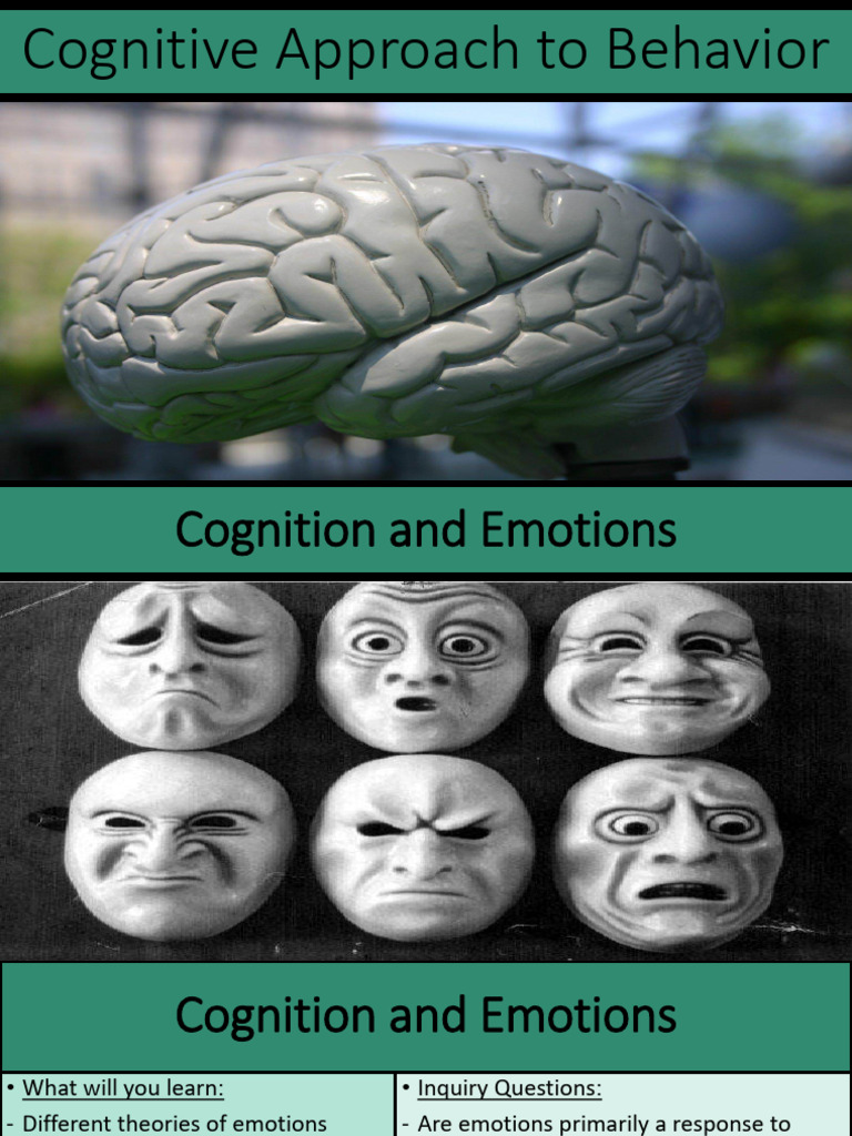 Understanding Emotions and Memory | PDF | Emotions | Memory