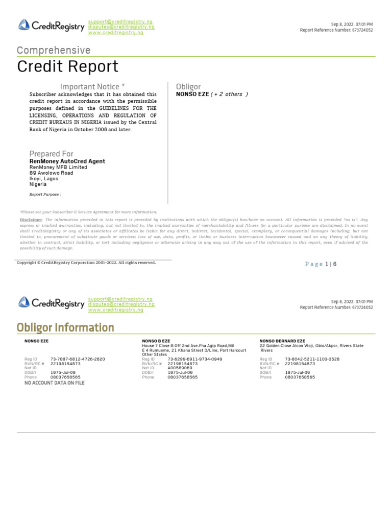 Comprehensive Credit Report Overview | PDF | Legal Liability | Credit