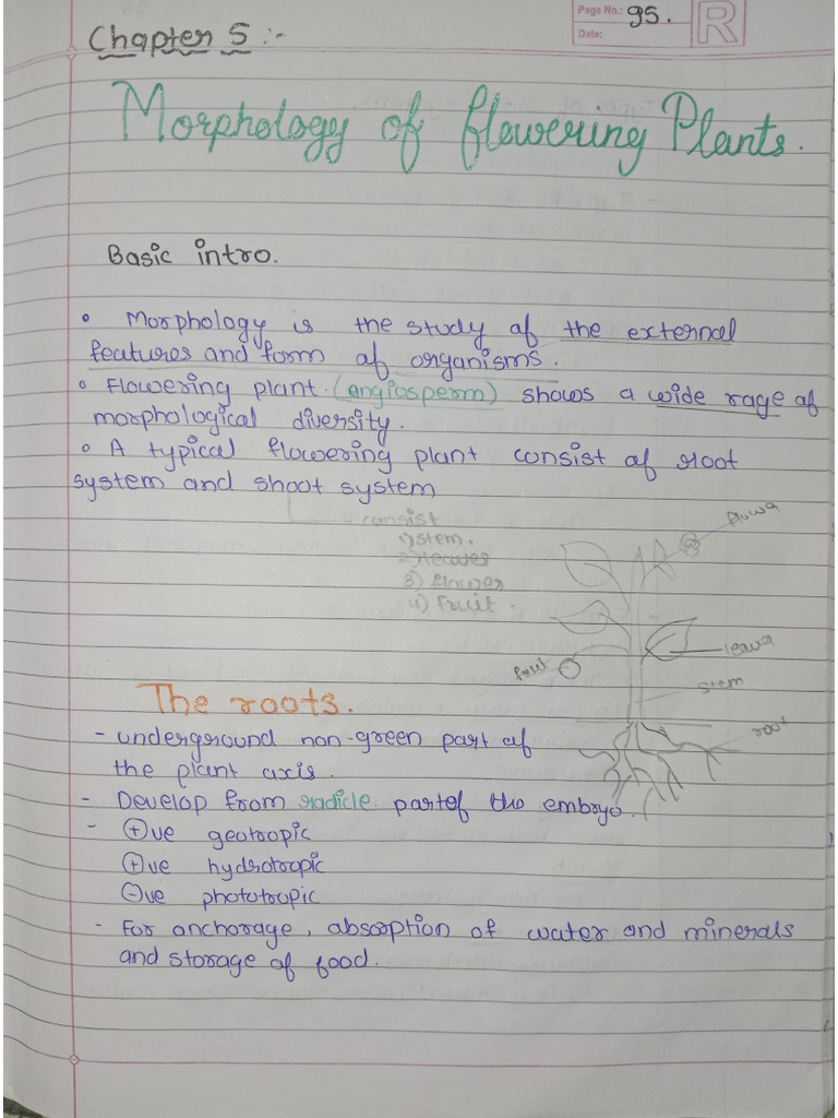 CHP 5 Handwritten Notes Janvi | PDF