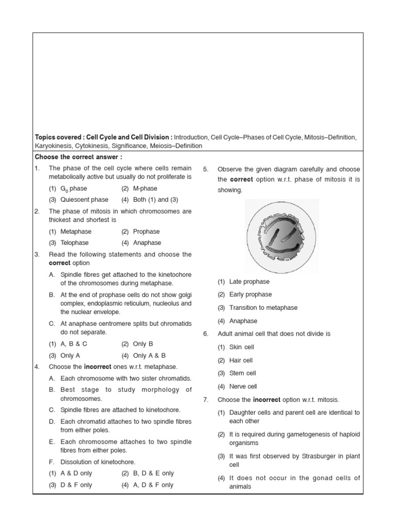Cell Cycle and Mitosis Overview | PDF | Mitosis | Biology