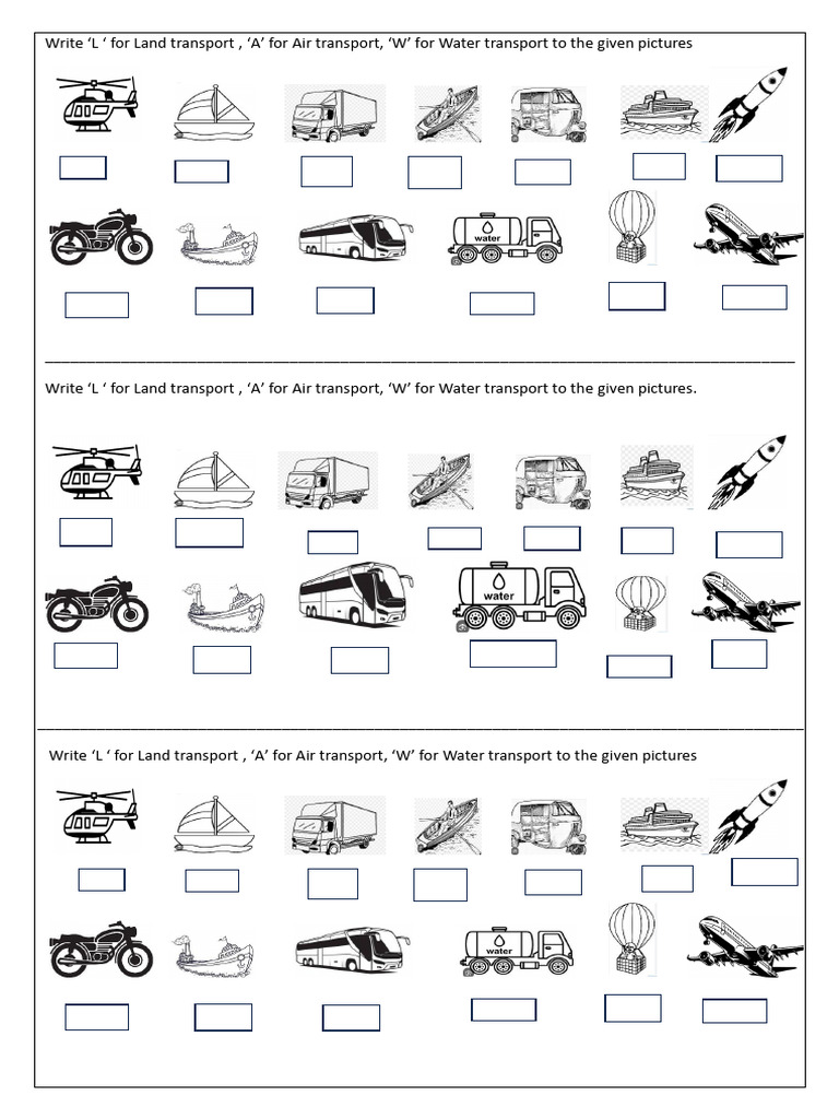 Transport Classification Worksheet | PDF