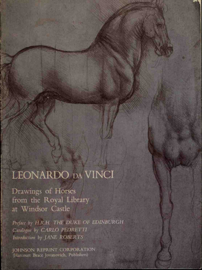 Black Shuck by AbigailLarson on DeviantArt, image size:768x1024