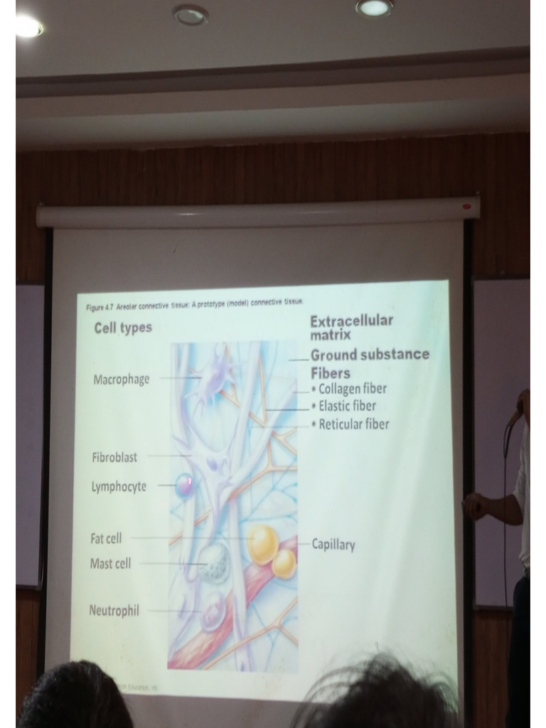 13 March DR - Ovais Connective Tissue | PDF