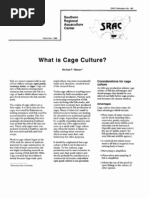 What Is Cage Culture?