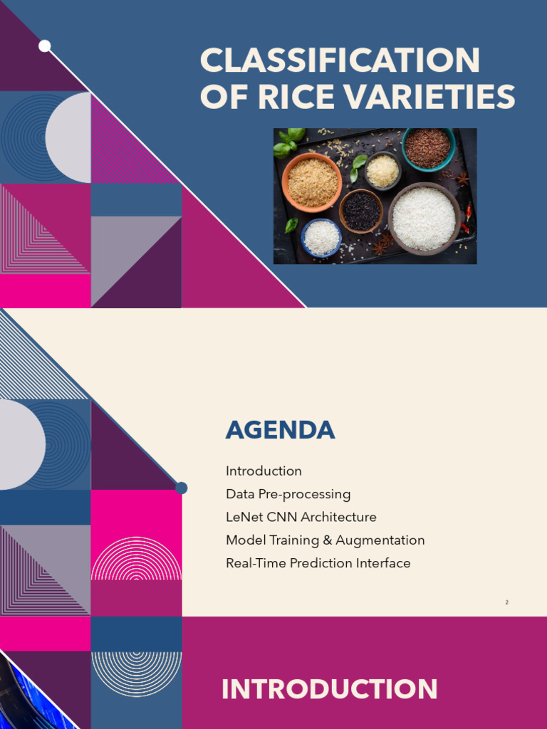 Rice Variety Classification Using CNN | PDF