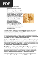 Download KEFIR by mskervran SN90311541 doc pdf