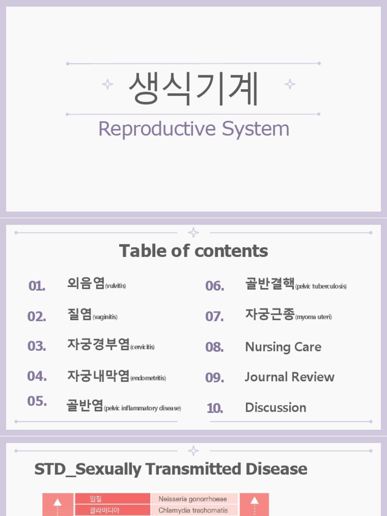 Reproductive System | PDF
