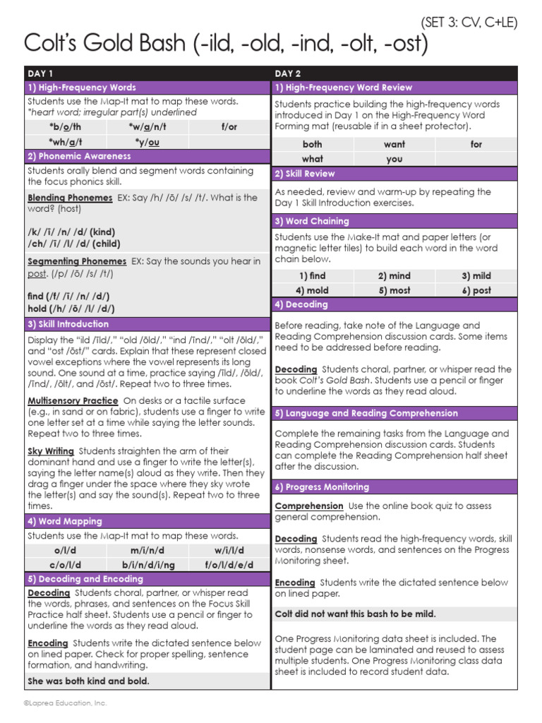 Phonics and Reading Skills Lesson Plan | PDF | Reading Comprehension ...