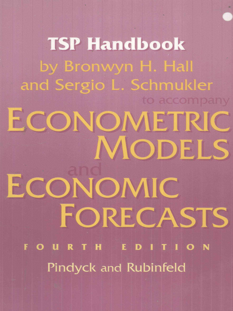 洋書 Econometric Models and Economic Econometric Methods with Applications in Business and