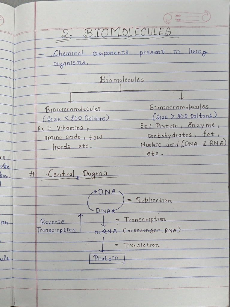 Bio After Mid Sem Notes | PDF
