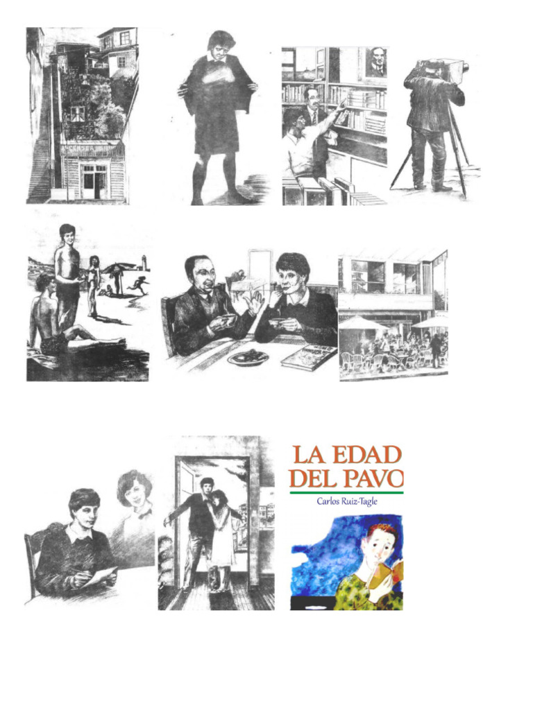 Recortes Libro | PDF