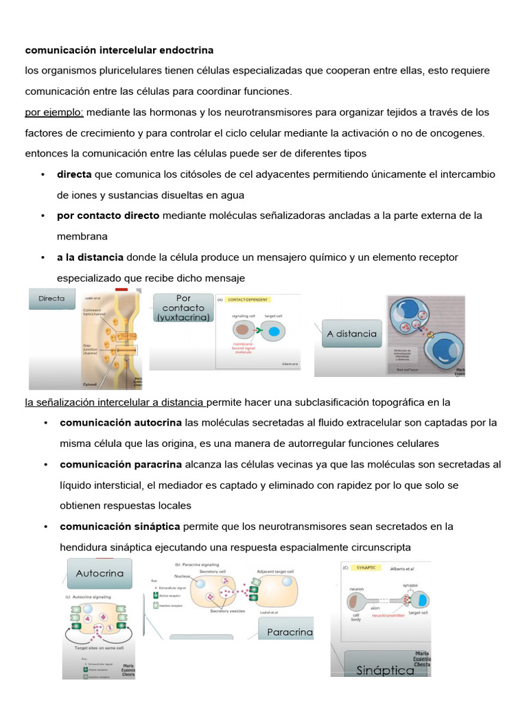 Comunicación Intercelular y Hormonas | PDF | Potencial de acción | Sinapsis
