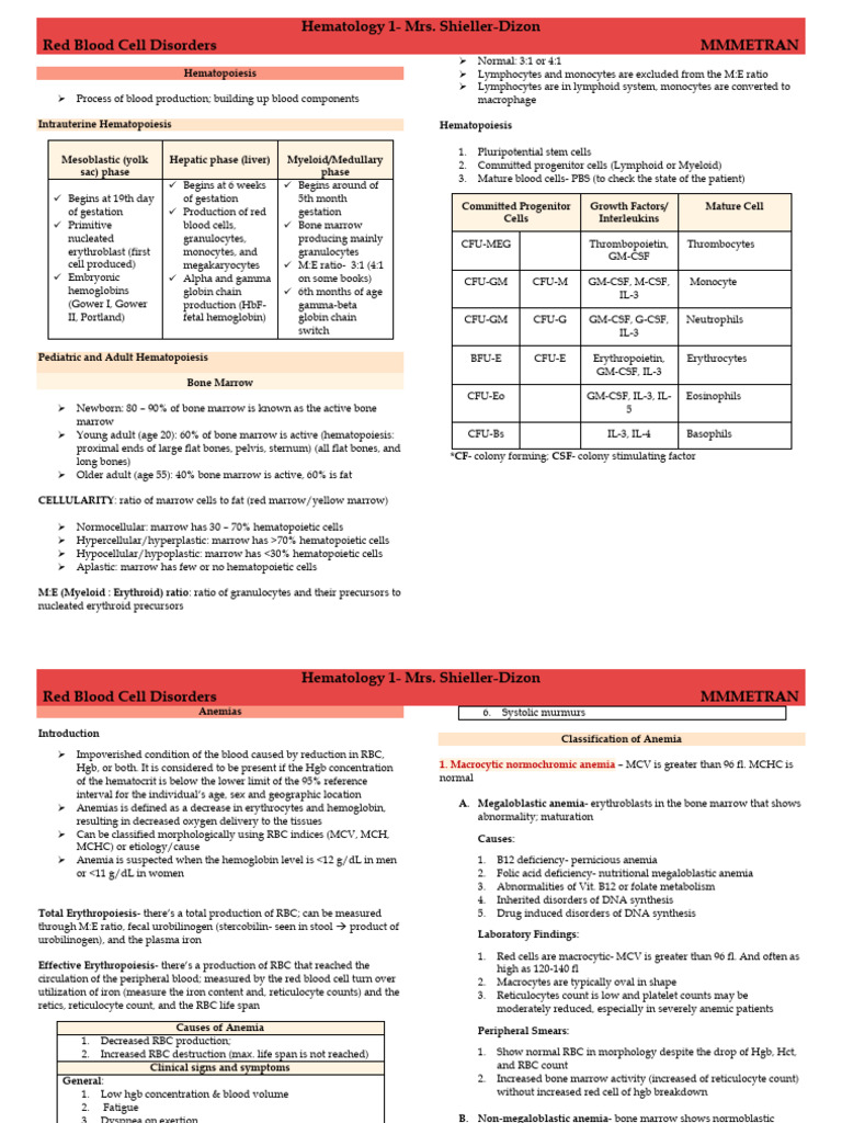 Overview of Red Blood Cell Disorders | PDF | Haematopoiesis | Bone Marrow