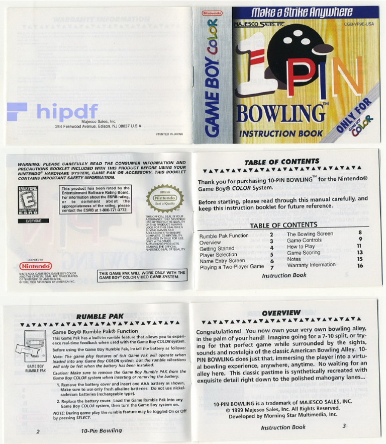 10 Pin Bowling | PDF