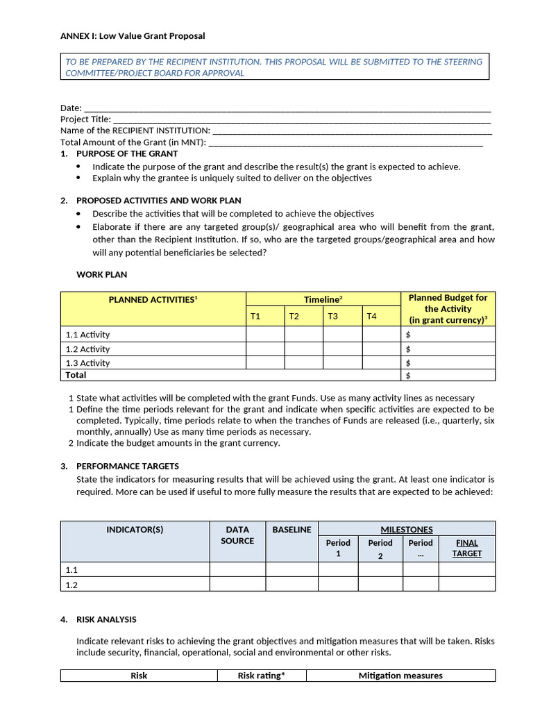 Low Value Grant Proposal Template | PDF | Risk | Budget