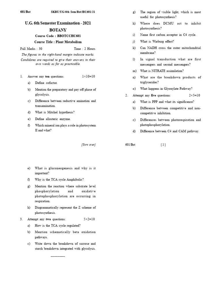 Unstructured Text Analysis Guide | PDF