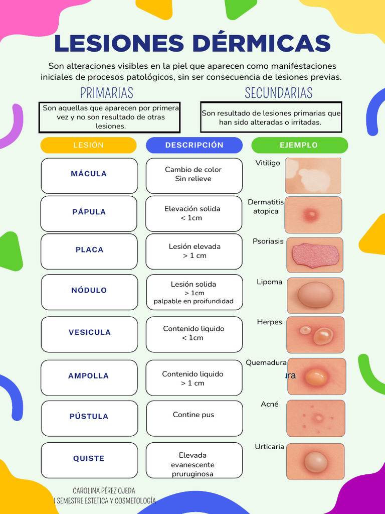 Tipos de Lesiones Dérmicas y Su Clasificación | PDF