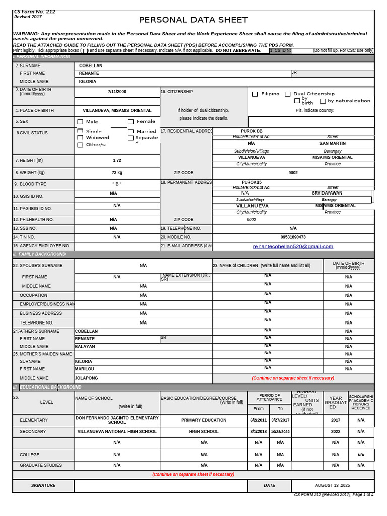 Personal Data Sheet Template | PDF | Government | Justice