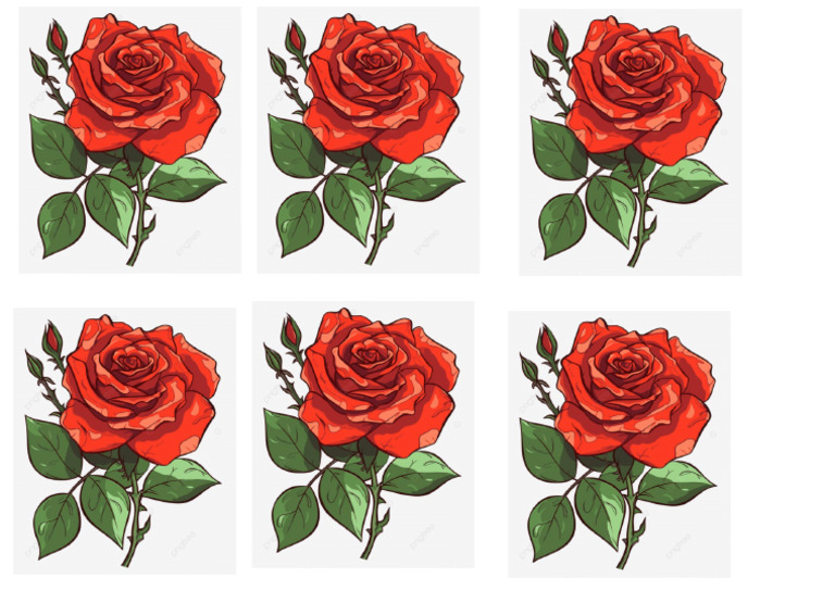 Stickers de Rosas | PDF