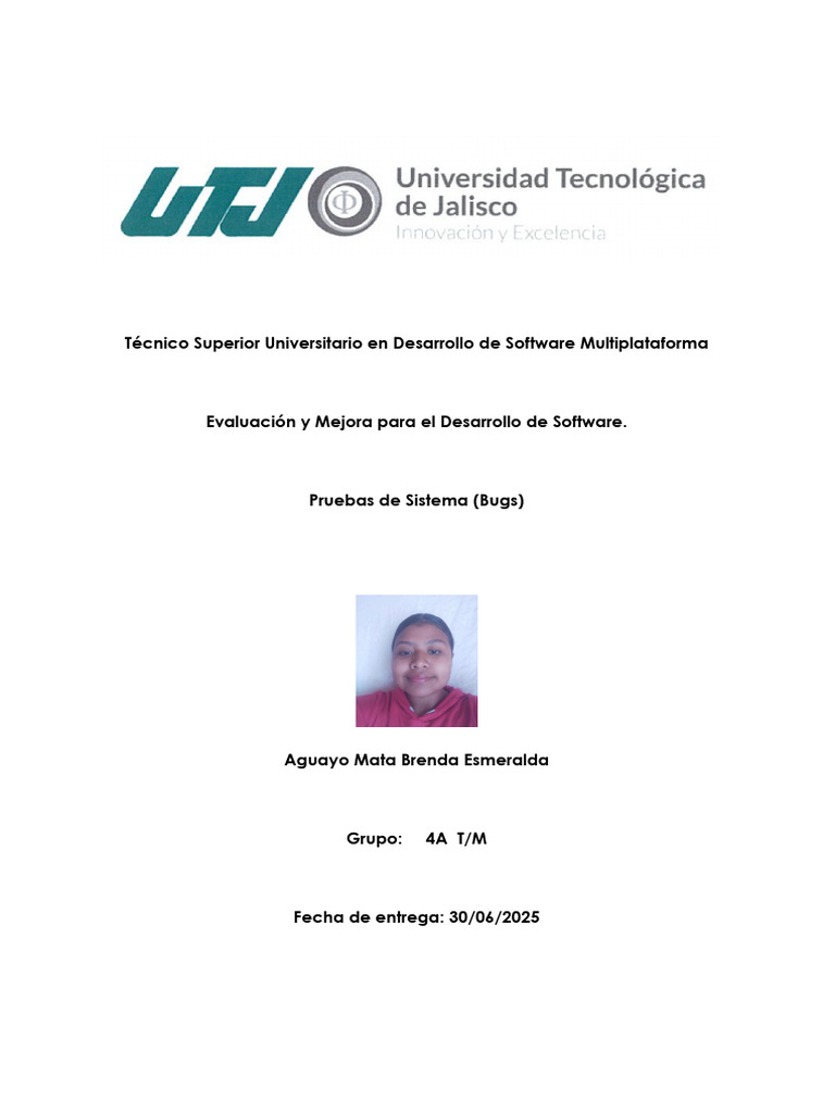 Errores Comunes en Desarrollo de Software | PDF