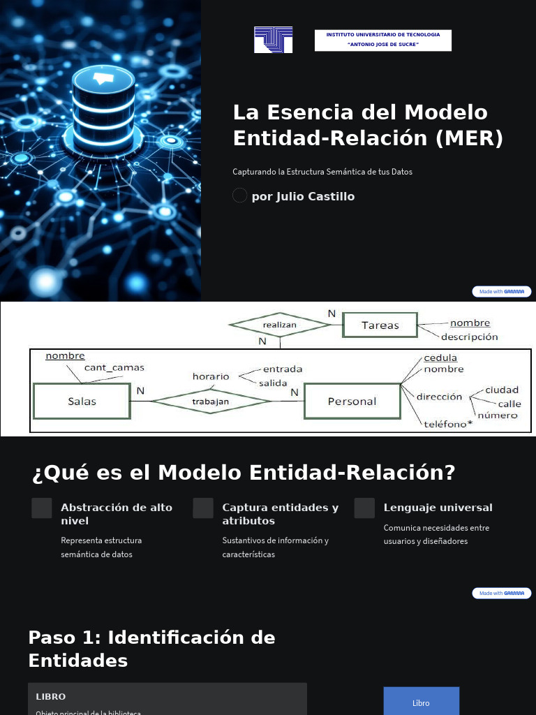 La Esencia Del Modelo Entidad Relacion MER | PDF | Informática