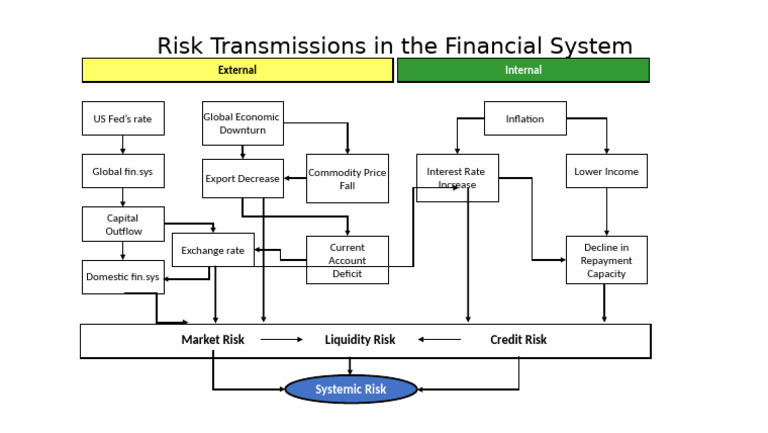 Financial System Risk Transmissions | PDF
