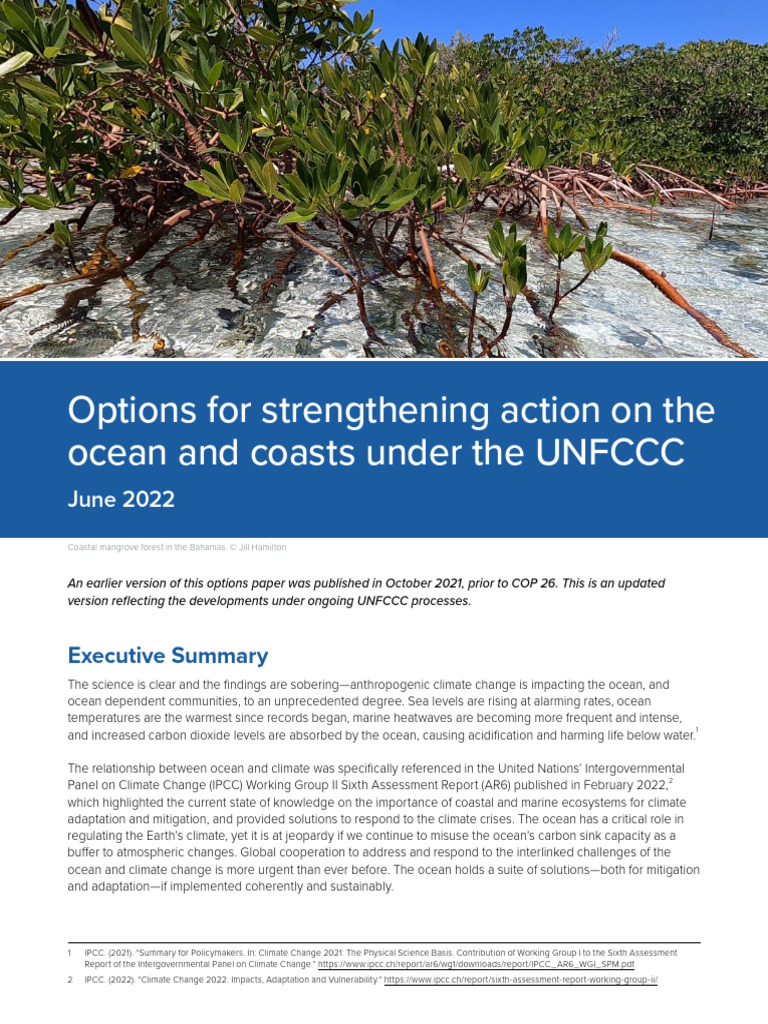 Unfccc Ocean Climate Options 3 June 2022 | PDF | Climate Change ...