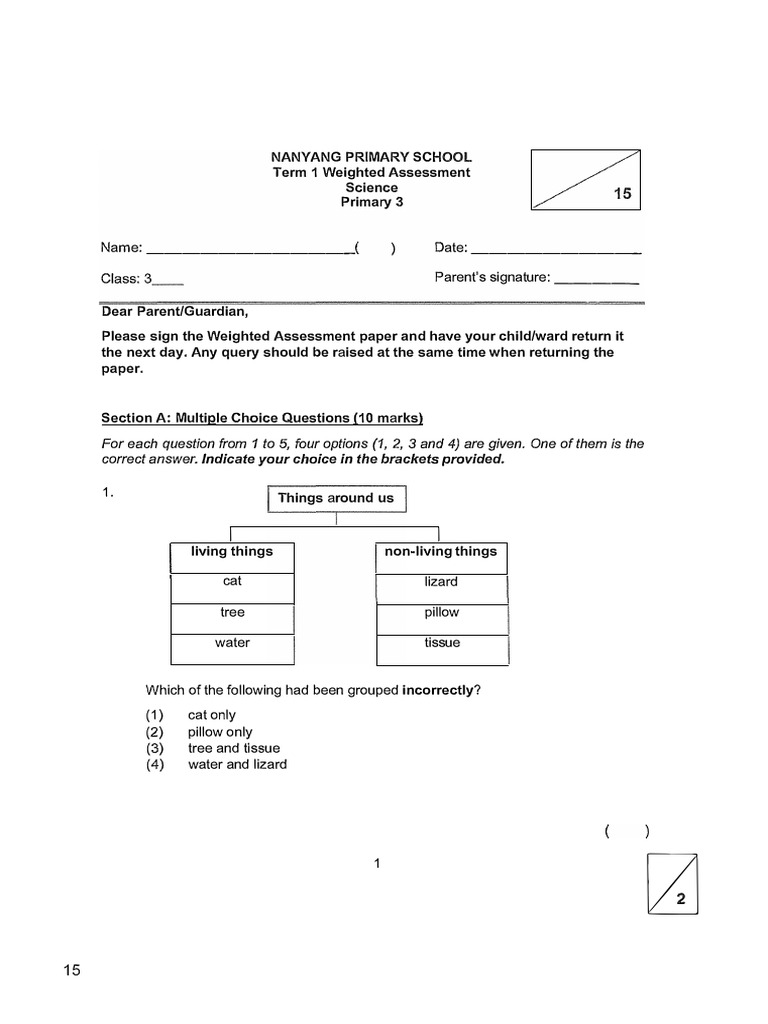 P3 Science Term 1 Assessment Paper | PDF