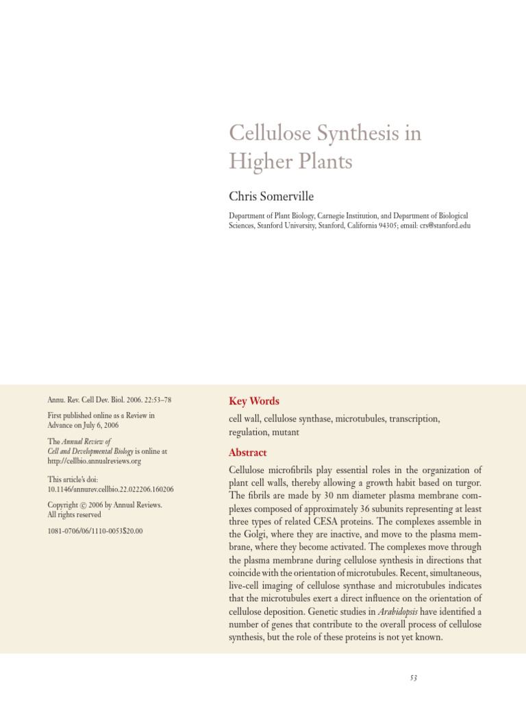 Aula 2c Cellulose Synthesis in Higher Plants Chris Somerville | PDF ...