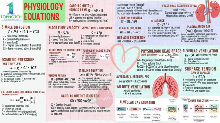 Physiology Equations Overview | PDF | Hemodynamics | Breathing