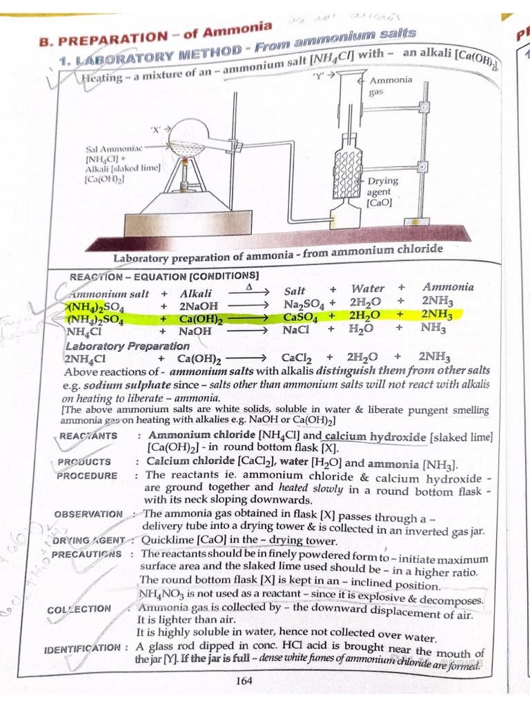 Ammonia Markings | PDF