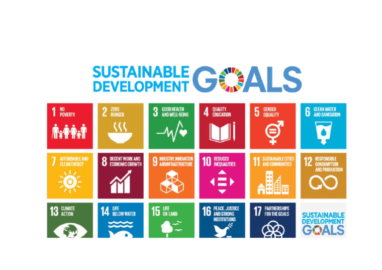 SDG 17 | PDF
