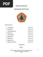 Download MAKALAH ERUPSI-1 by Meta Cats SN90340121 doc pdf