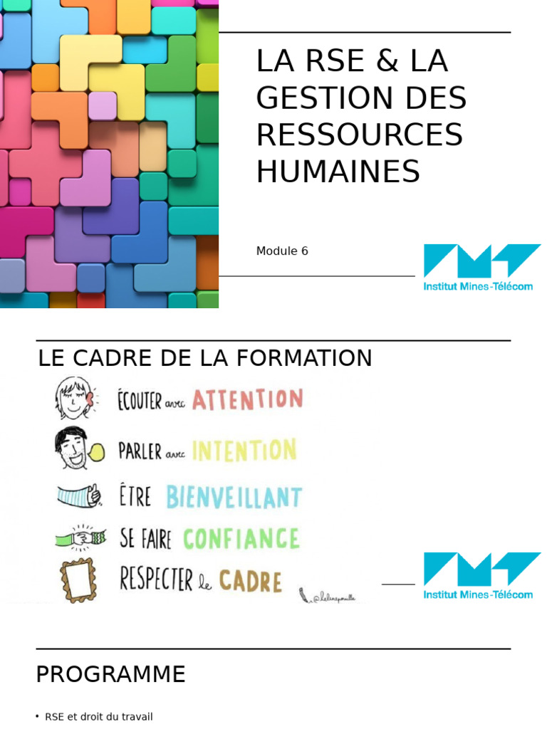 RSE et Gestion Responsable des RH | PDF | Gestion des ressources ...