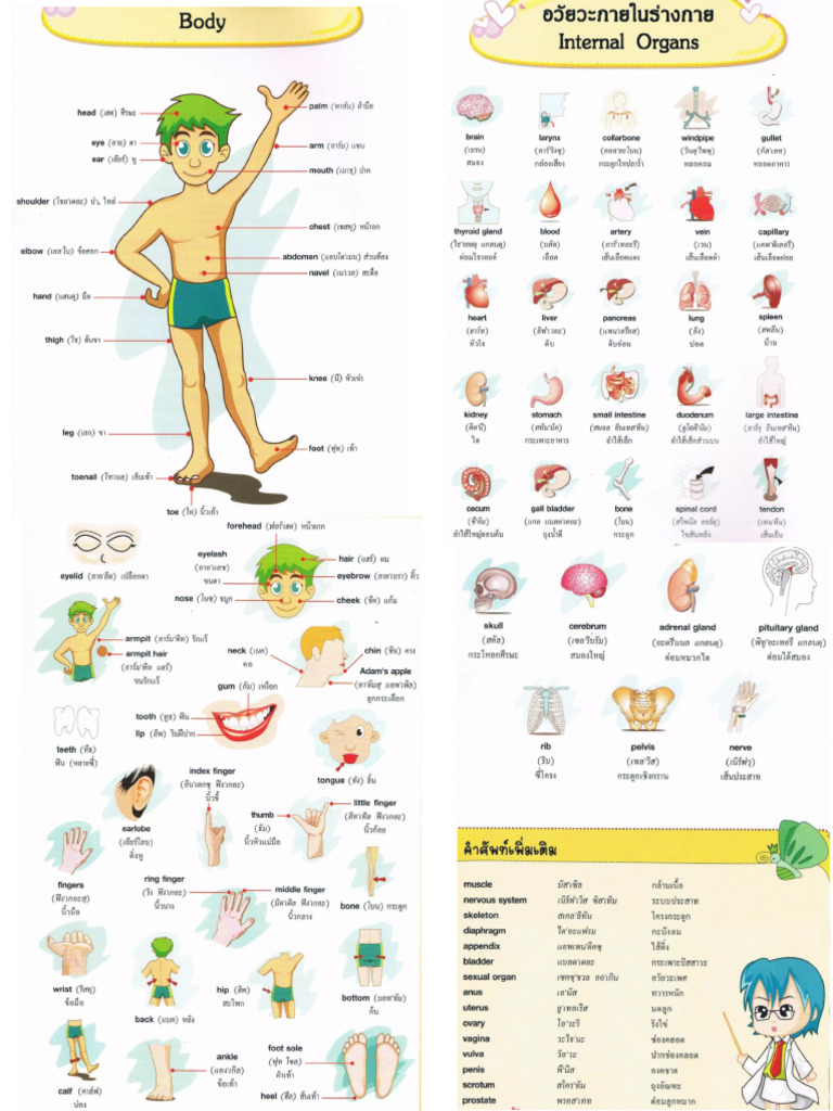 Basic Words | PDF