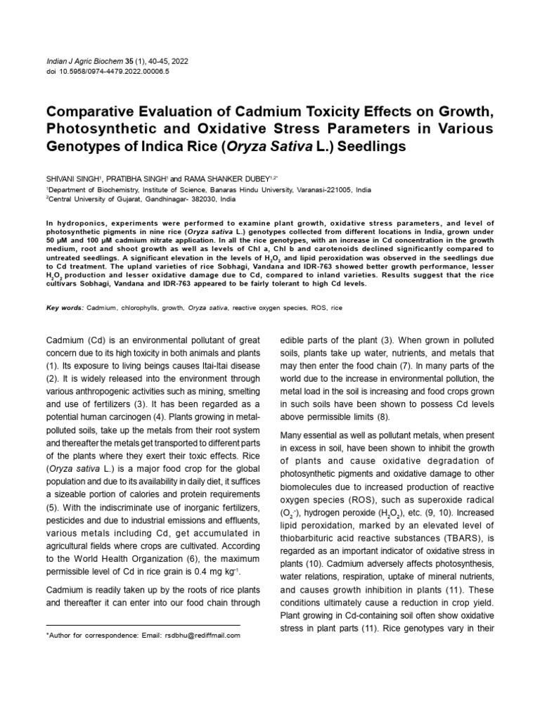 Cadmium Effects on Indica Rice Growth | PDF | Rice | Soil