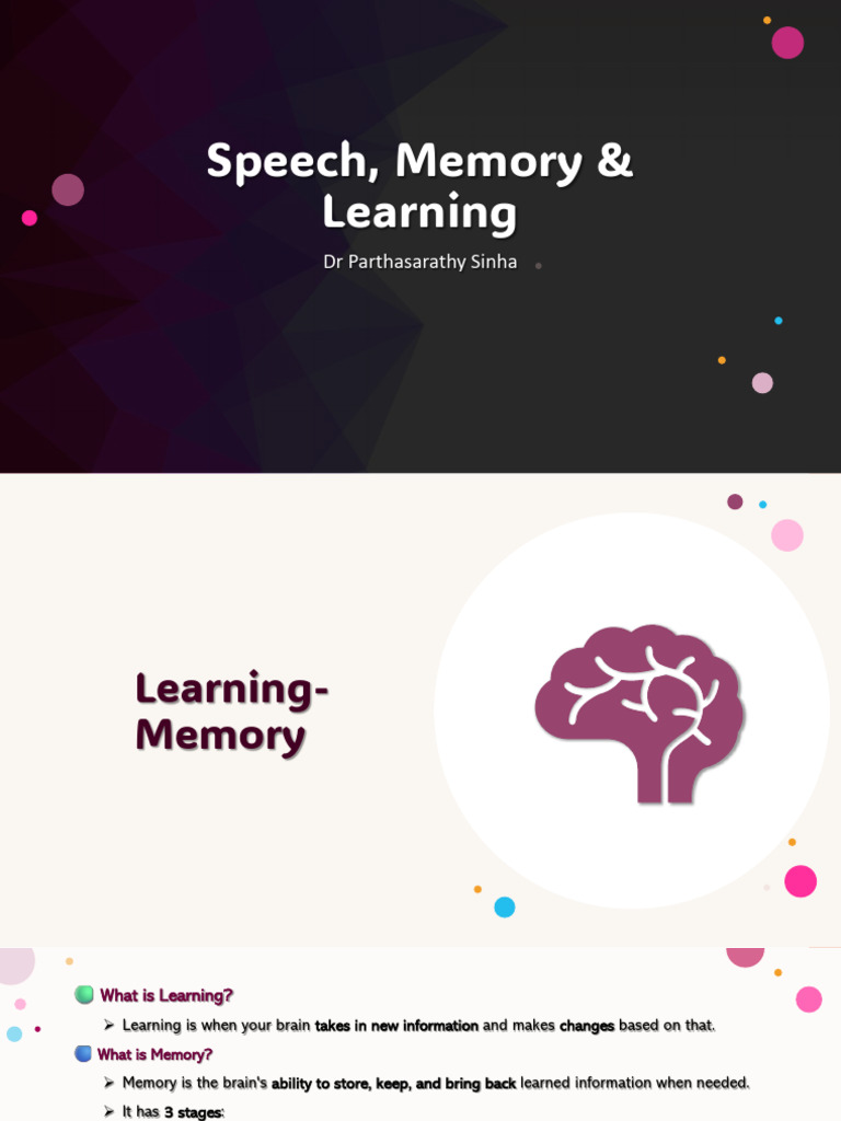 Understanding Learning and Memory Processes | PDF | Long Term ...